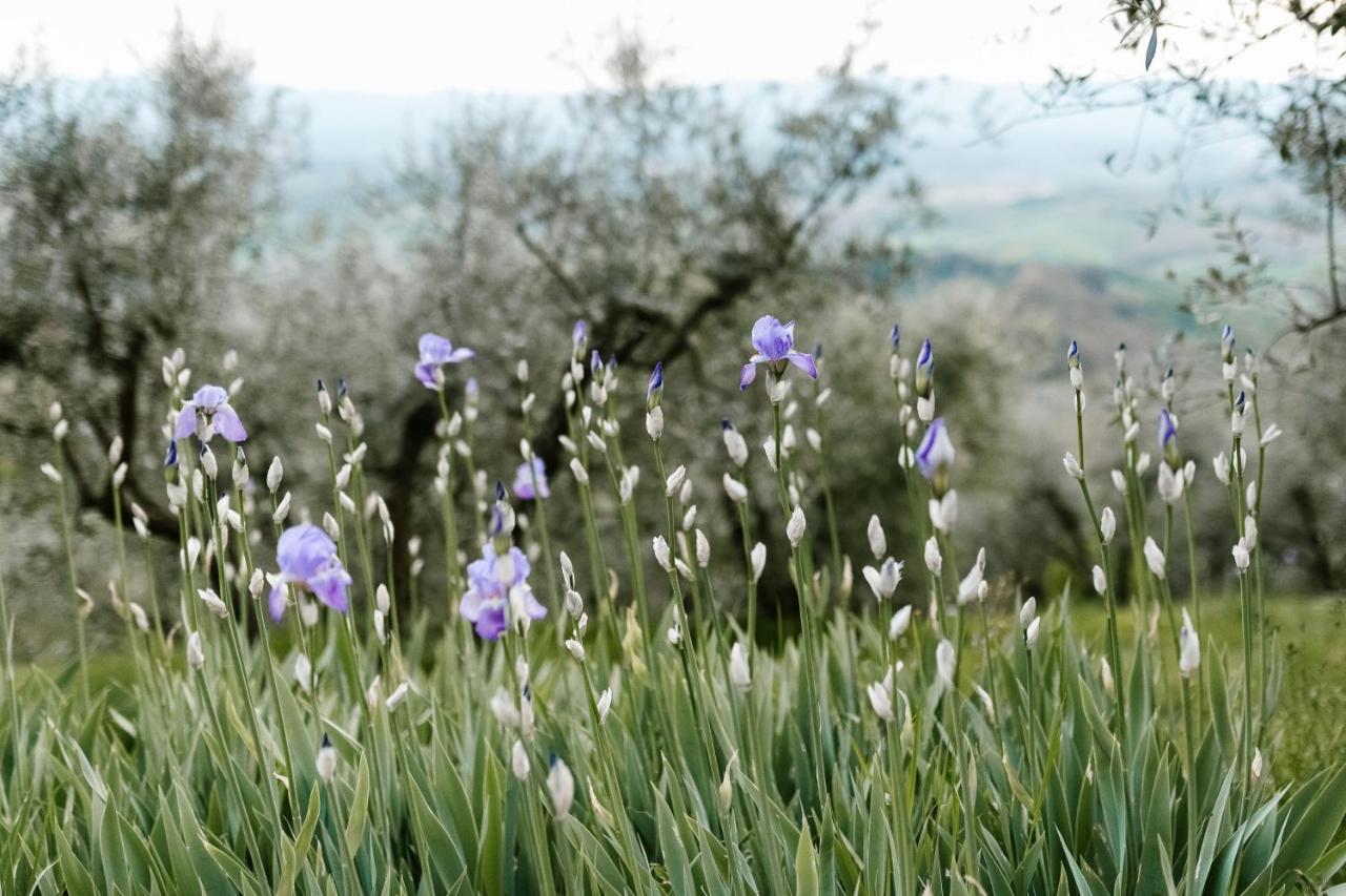 Agriturismo Cafaggio Primo 로로시우펜나 외부 사진