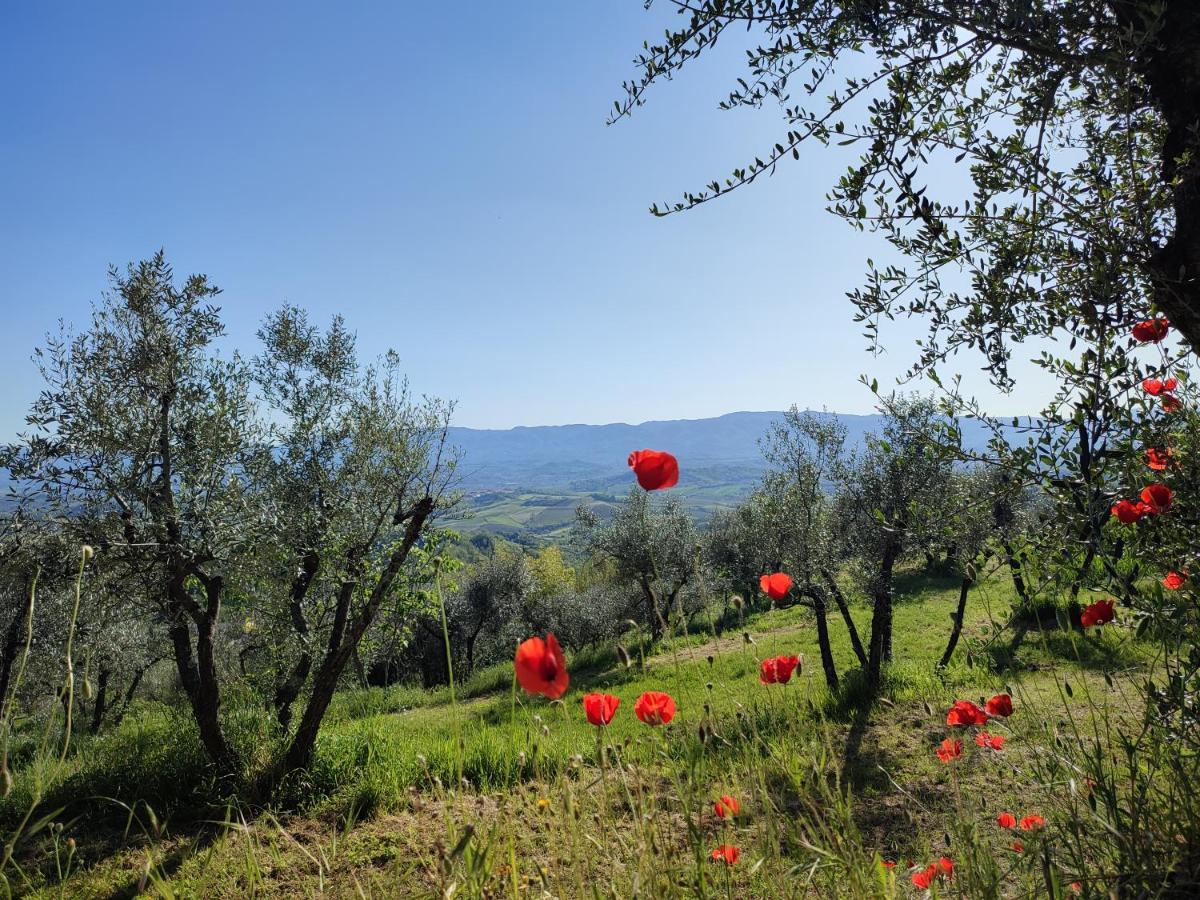 Agriturismo Cafaggio Primo 로로시우펜나 외부 사진