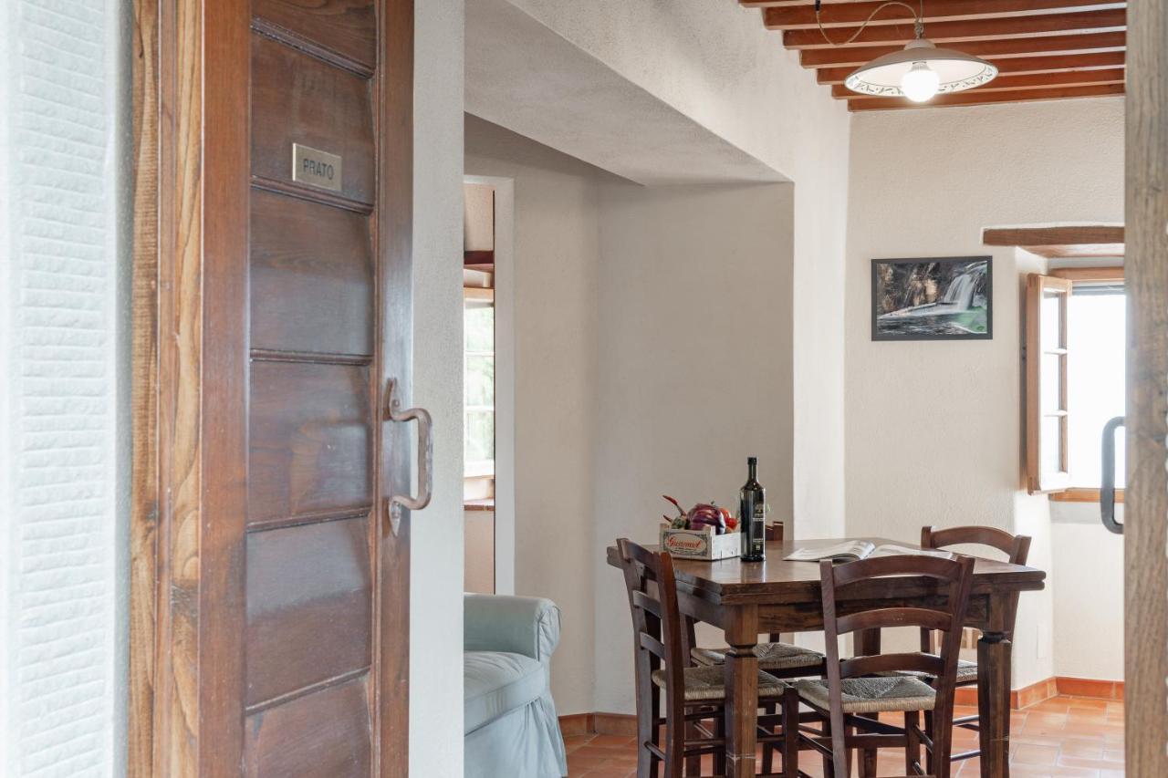 Agriturismo Cafaggio Primo 로로시우펜나 외부 사진
