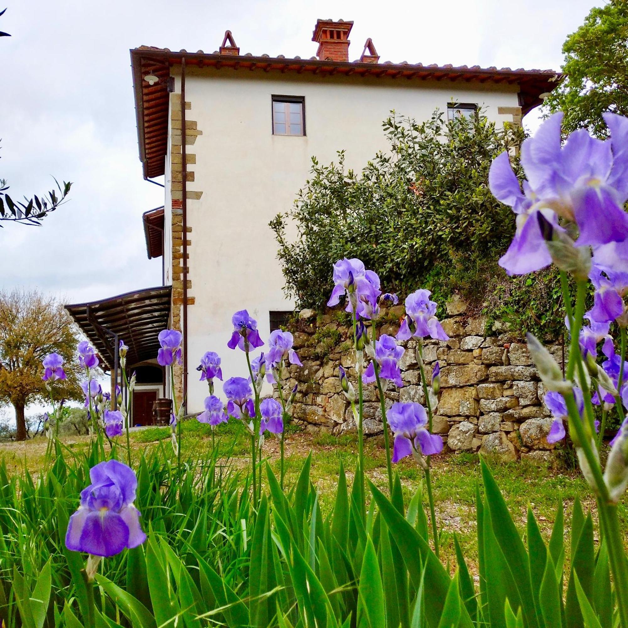 Agriturismo Cafaggio Primo 로로시우펜나 외부 사진