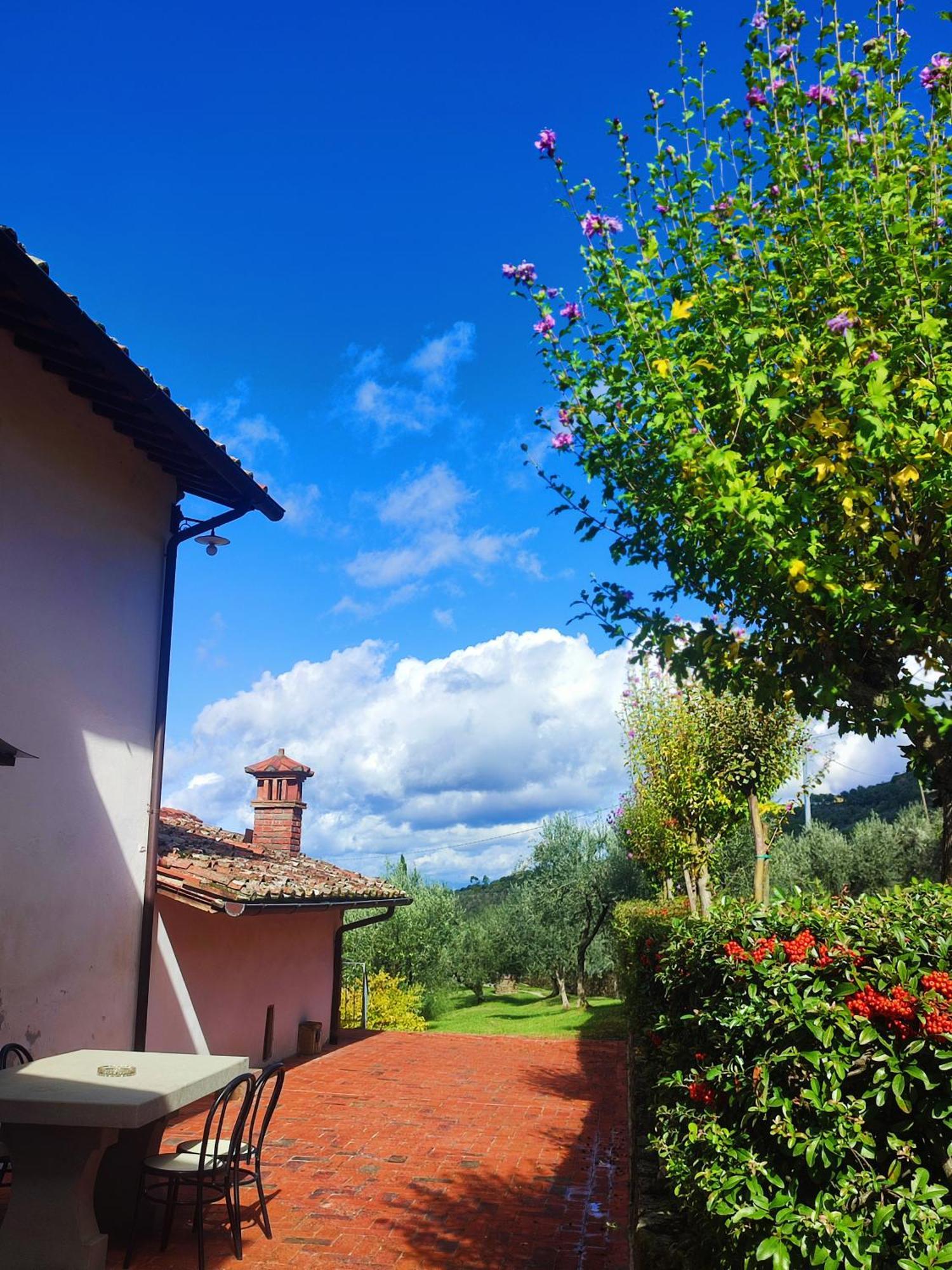 Agriturismo Cafaggio Primo 로로시우펜나 외부 사진
