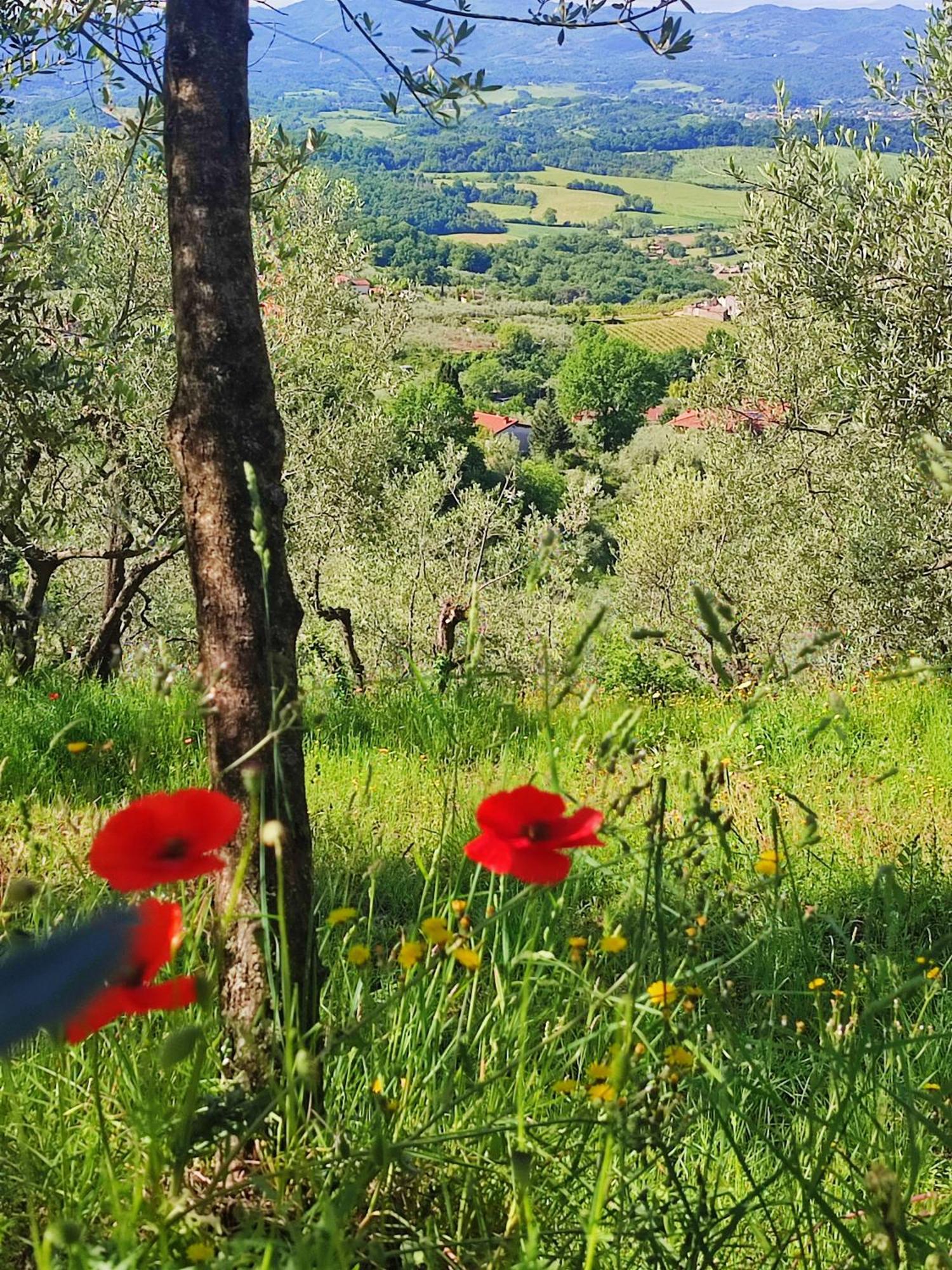 Agriturismo Cafaggio Primo 로로시우펜나 외부 사진